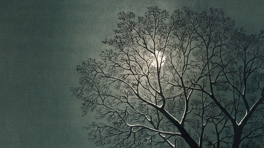 moon behind snow-covered bare tree branches